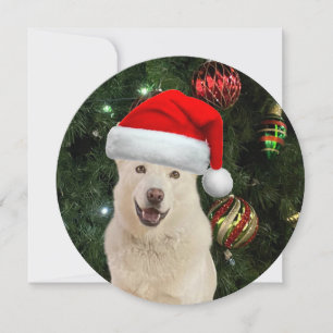 Cartes Pour Fêtes Annuelles Père Noël ronde personnalisée Paws Husky Noël