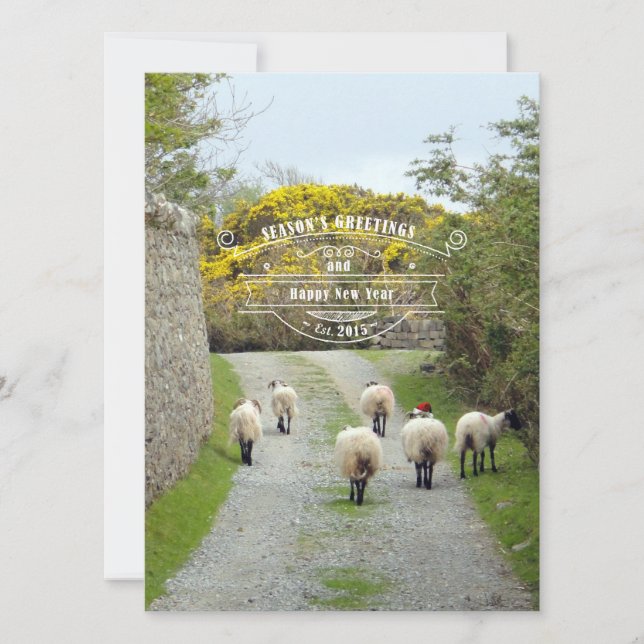 Cartes Pour Fêtes Annuelles Père Noël Sheep (Devant)