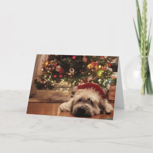 Cartes Pour Fêtes Annuelles Père Noël somnolent