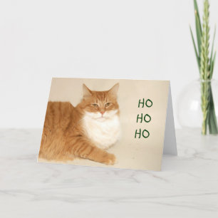 Cartes Pour Fêtes Annuelles Père Noël tigré orange
