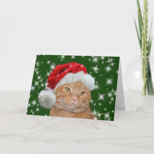 Cartes Pour Fêtes Annuelles Père Noël tigré orange
