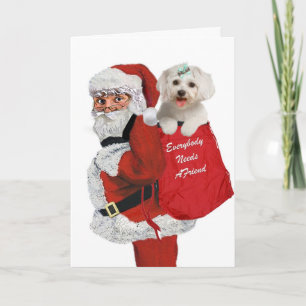 Cartes Pour Fêtes Annuelles père Noël transporte le maltais dans son sac de ca