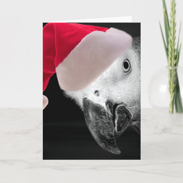Cartes Pour Fêtes Annuelles Perroquet de Noël (Devant)