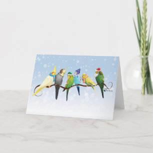 Cartes Pour Fêtes Annuelles Perruques d'hiver et Cockatiels
