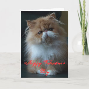 Cartes Pour Fêtes Annuelles Persian Cat Happy Valentine's Day