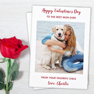 Cartes Pour Fêtes Annuelles Personnalisé Chien animal de compagnie photo Meill