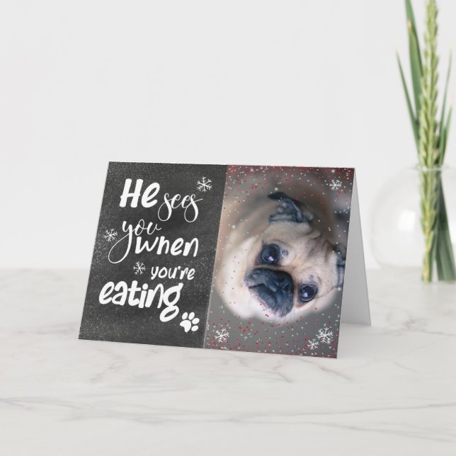 Cartes Pour Fêtes Annuelles Personnalisé Funny Pet Photo Famille Noël (Devant)