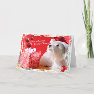 Cartes Pour Fêtes Annuelles Personnaliser merveilleuse de Noël Wishes4 de