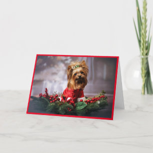 Cartes Pour Fêtes Annuelles Personnaliser Photo Animaux De Compagnie Télécharg