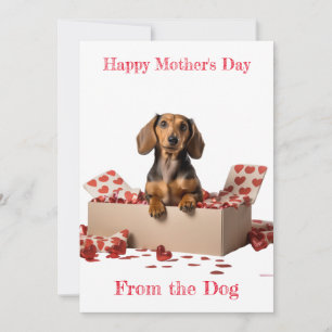 Cartes Pour Fêtes Annuelles Personnalisez le Dachshund Hearts Fête des mères