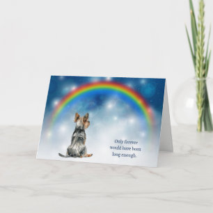 Cartes Pour Fêtes Annuelles Perte de veilleuses pour Yorkshire Terrier