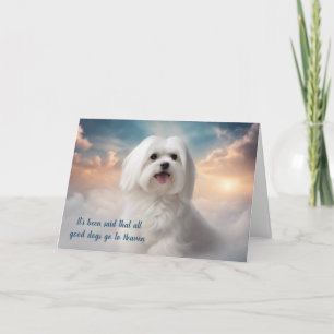 Cartes Pour Fêtes Annuelles Perte du paradis des chiens maltais Sympathie
