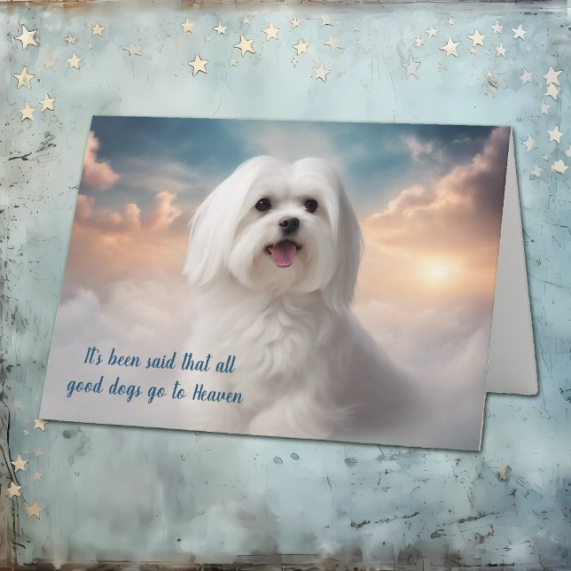 Cartes Pour Fêtes Annuelles Perte du paradis des chiens maltais Sympathie (Créateur téléchargé)
