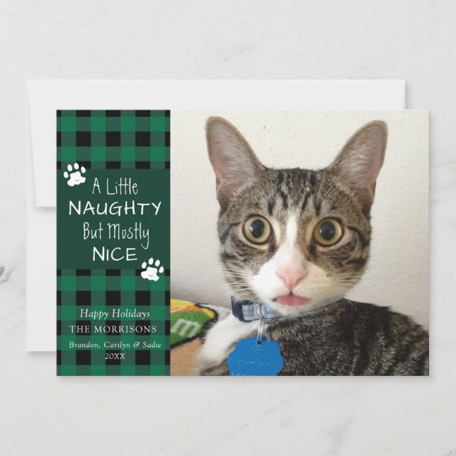 Cartes Pour Fêtes Annuelles Pet Cat Naughty et Nice Vert Black Plaid (Devant)