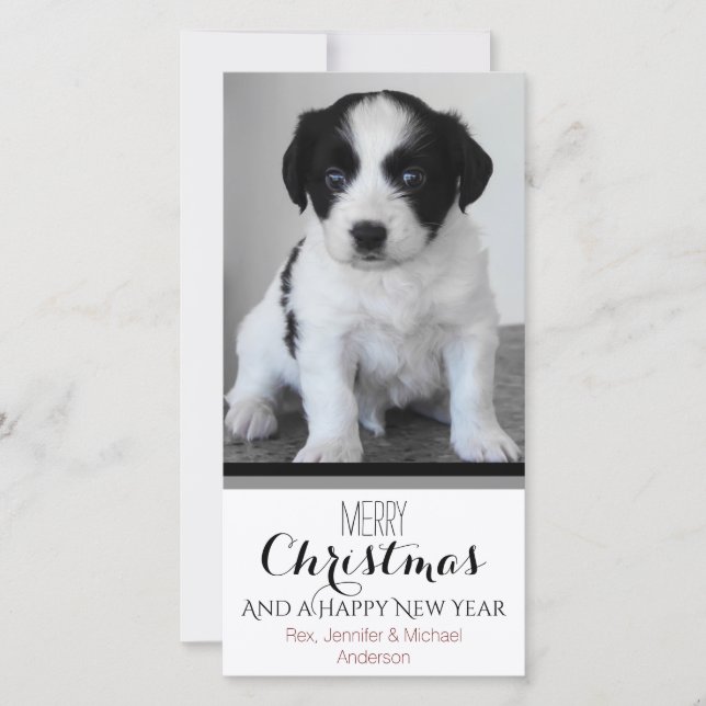 Cartes Pour Fêtes Annuelles Pet ou Chiot Noir Blanc Noël (Devant)