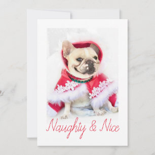 Cartes Pour Fêtes Annuelles Pet Star Photo de chien personnalisé Naughty & N