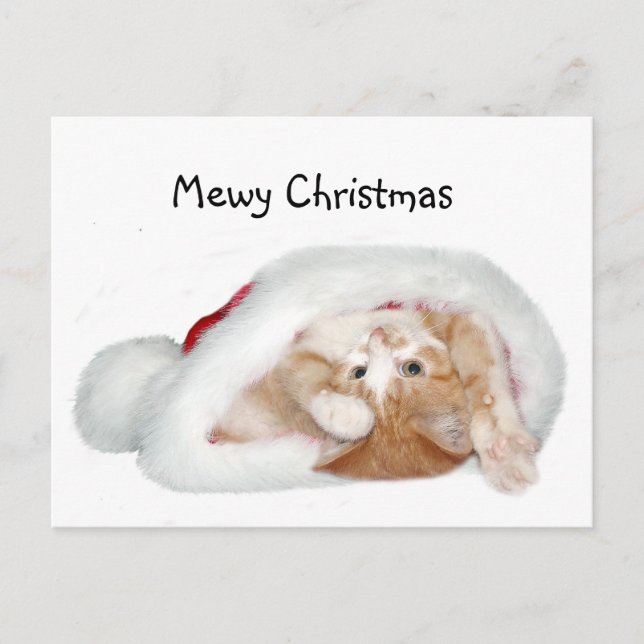 Cartes Pour Fêtes Annuelles Petit chaton de Noël (Devant)