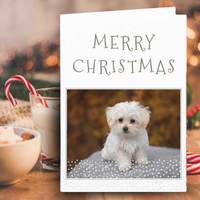 Cartes Pour Fêtes Annuelles Petit chien animal de compagnie photo Étoiles blan (Créateur téléchargé)