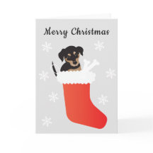 Petit Chien Dans Un Snowflakes En Attraction