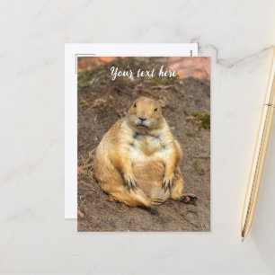Cartes Pour Fêtes Annuelles Petit chien de prairie à queue noire