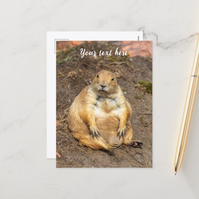 Cartes Pour Fêtes Annuelles Petit chien de prairie à queue noire (Devant/Arrière en situation)
