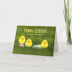 Cartes Pour Fêtes Annuelles Petit-fils mignon Poussins de Pâques Oeufs mouchet