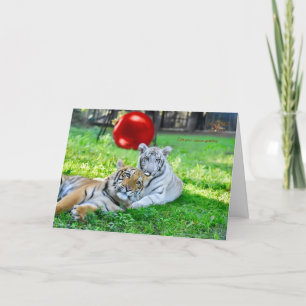 Cartes Pour Fêtes Annuelles Petits garçons Noël