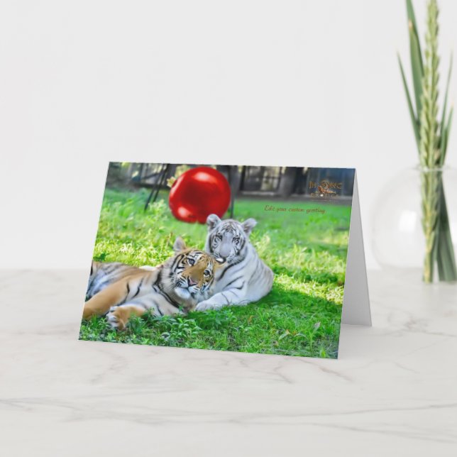 Cartes Pour Fêtes Annuelles Petits garçons Noël (Devant)