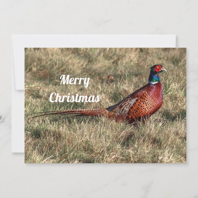 Cartes Pour Fêtes Annuelles Pheasant photo Appartement de Noël (Devant)