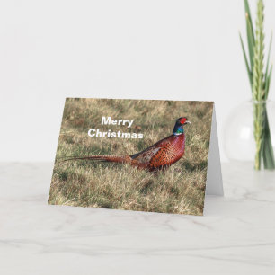 Cartes Pour Fêtes Annuelles Pheasant Photo Christmas