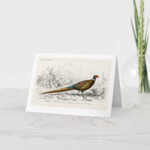Cartes Pour Fêtes Annuelles Phéasé pour Noël - Art Vintage -