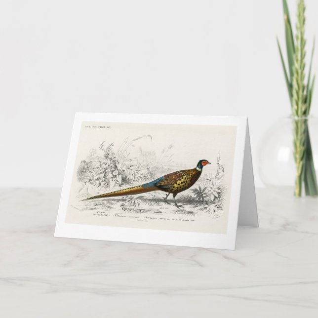 Cartes Pour Fêtes Annuelles Phéasé pour Noël - Art Vintage - (Devant)