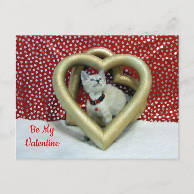 Cartes Pour Fêtes Annuelles Phoenix's Love - Chat / Kitten Valentine Postcard (Devant)