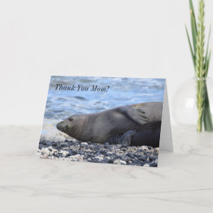 Cartes Pour Fêtes Annuelles Phoque de moine hawaïen et sa levure