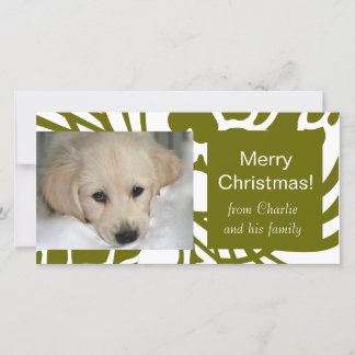 Cartes Pour Fêtes Annuelles Photo Cards de Green White Dog Christmas