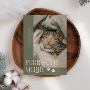 Cartes Pour Fêtes Annuelles Photo Cat Parfaitement Joyeux Sage Vert Noël