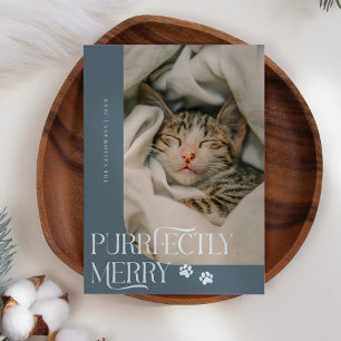 Cartes Pour Fêtes Annuelles Photo Cat parfaitement joyeux Slate Bleu Noël