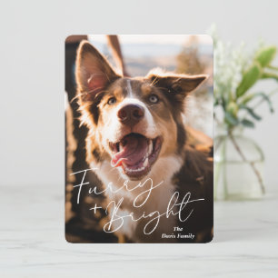 Cartes Pour Fêtes Annuelles Photo Chien mignon Noël moderne