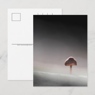Cartes Pour Fêtes Annuelles Photo de champignon dans la nature