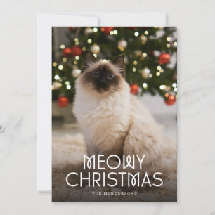 Cartes Pour Fêtes Annuelles Photo de chat de Noël Meowy