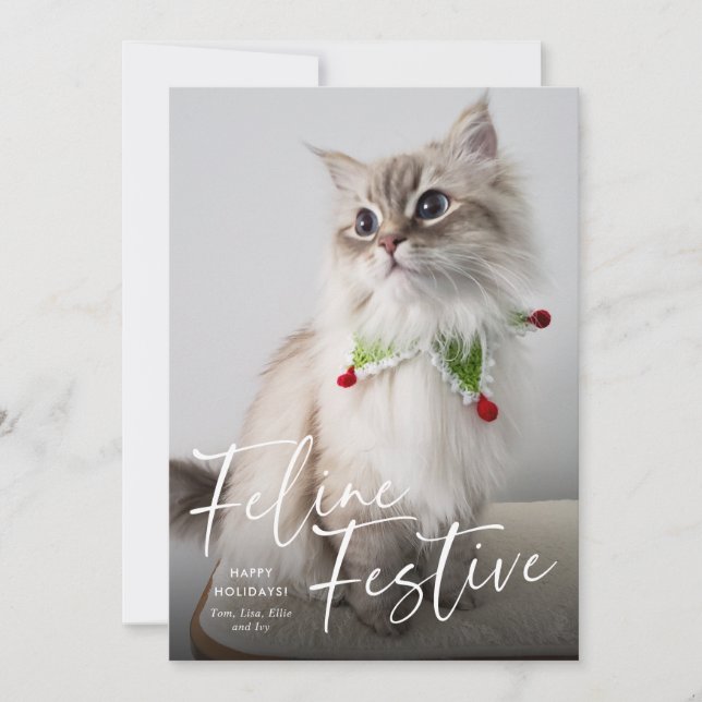 Cartes Pour Fêtes Annuelles Photo de chat festif férié  (Devant)