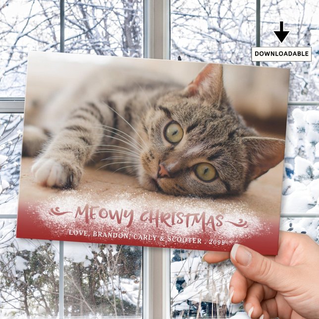 Cartes Pour Fêtes Annuelles Photo de chat MEOWY NOËL Rouge neigeux (Créateur téléchargé)