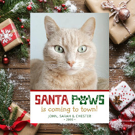 Cartes Pour Fêtes Annuelles Photo de chat père Noël Paws