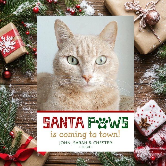 Cartes Pour Fêtes Annuelles Photo de chat père Noël Paws (Créateur téléchargé)