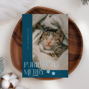 Cartes Pour Fêtes Annuelles Photo de chat pure merry Noël Turquoise