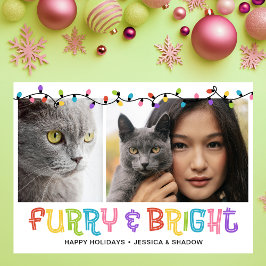 Cartes Pour Fêtes Annuelles Photo de chats brillants et furie