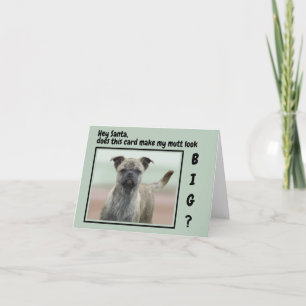 Cartes Pour Fêtes Annuelles Photo de chien bâtard drôle pour Noël