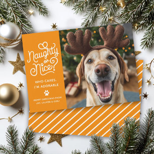 Cartes Pour Fêtes Annuelles Photo de chien/chat mignon et drôle: méchant ou ge
