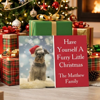 Cartes Pour Fêtes Annuelles Photo de chien de famille de Noël mignon
