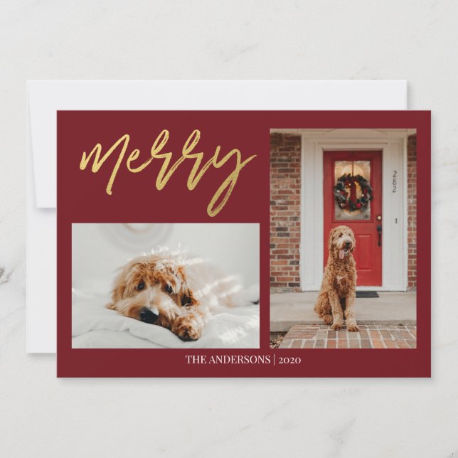 Cartes Pour Fêtes Annuelles Photo de chien de Noël moderne (Devant)